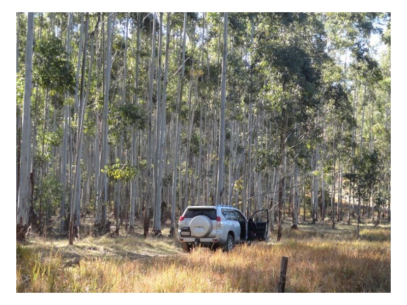 4600 Paddys Flat Road, Kyogle NSW 2474