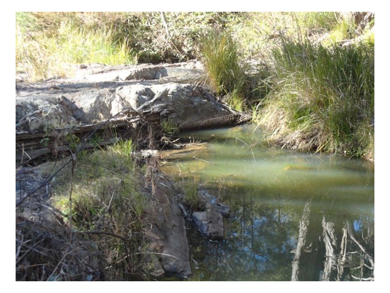 4600 Paddys Flat Road, Kyogle NSW 2474