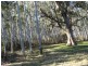 4600 Paddys Flat Road, Kyogle NSW 2474