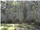 4600 Paddys Flat Road, Kyogle NSW 2474