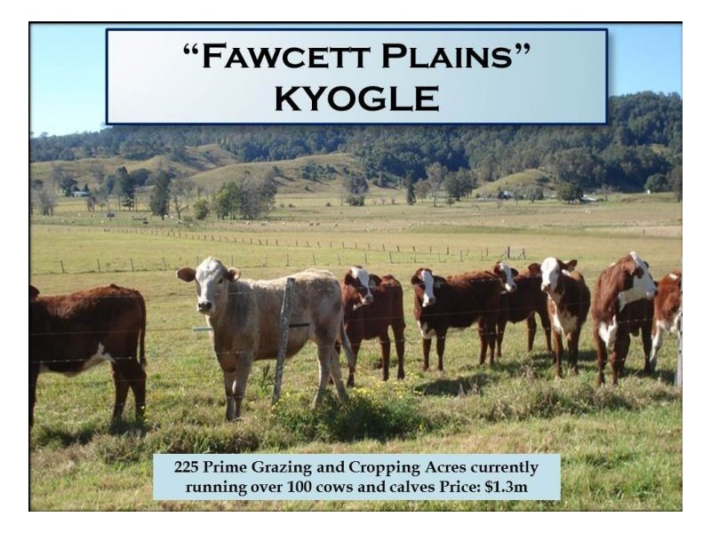 300 Fawcett Plains Road, Kyogle NSW 2474
