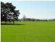 12335 Summerland Way, Kyogle NSW 2474
