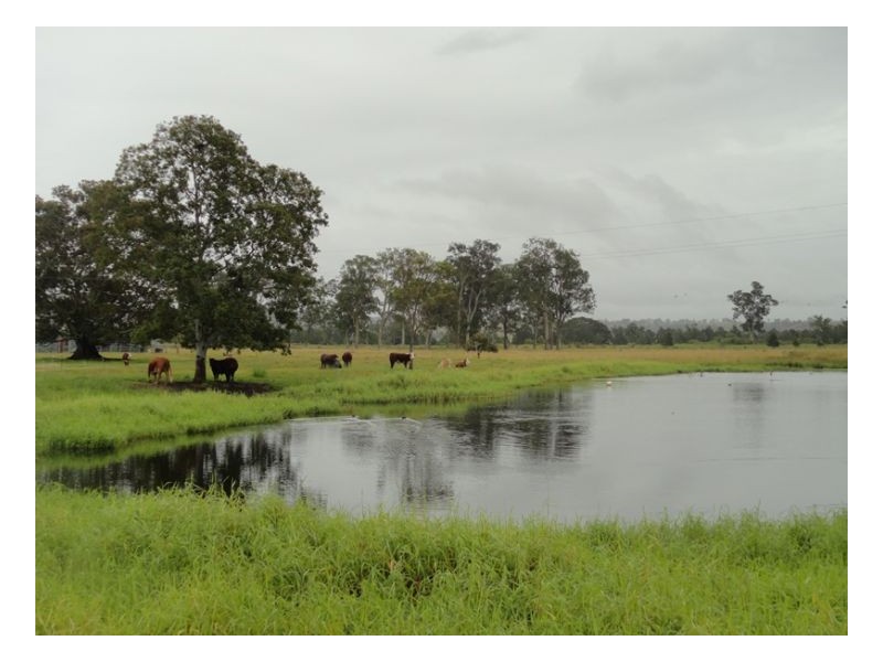 12335 Summerland Way, Kyogle NSW 2474