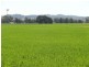 12335 Summerland Way, Kyogle NSW 2474