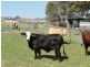 12335 Summerland Way, Kyogle NSW 2474
