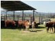 12335 Summerland Way, Kyogle NSW 2474