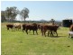 12335 Summerland Way, Kyogle NSW 2474