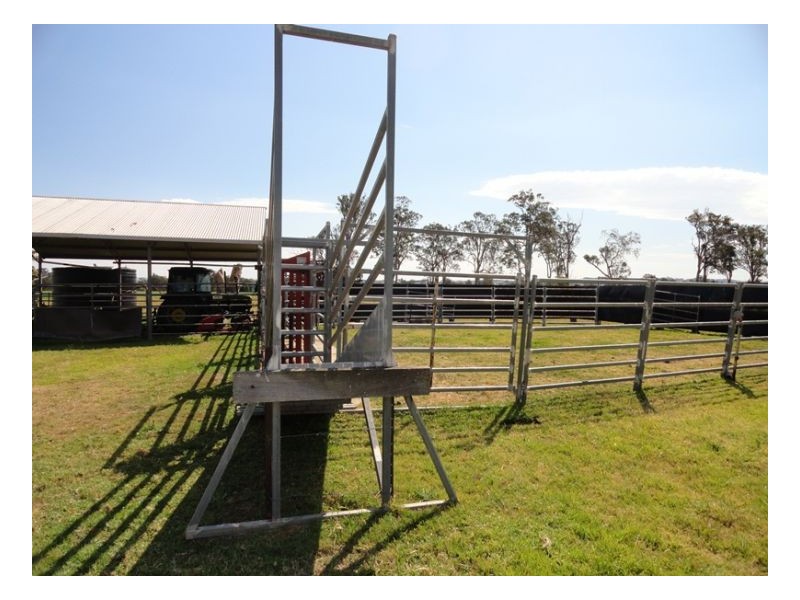 12335 Summerland Way, Kyogle NSW 2474