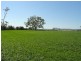 12335 Summerland Way, Kyogle NSW 2474
