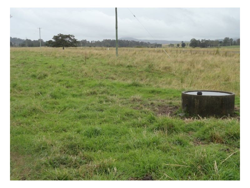 12335 Summerland Way, Kyogle NSW 2474