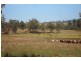 L105 Dyraaba Road, Kyogle NSW 2474