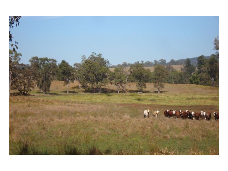 L105 Dyraaba Road, Kyogle NSW 2474