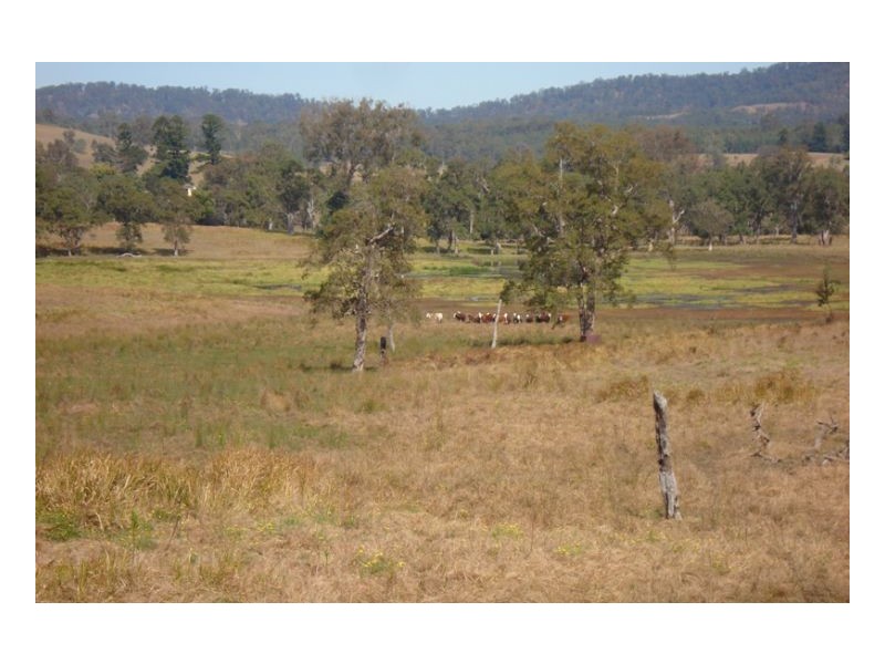 L105 Dyraaba Road, Kyogle NSW 2474