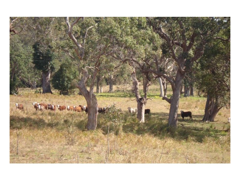 L105 Dyraaba Road, Kyogle NSW 2474