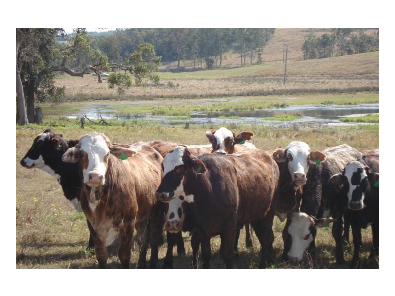 L105 Dyraaba Road, Kyogle NSW 2474