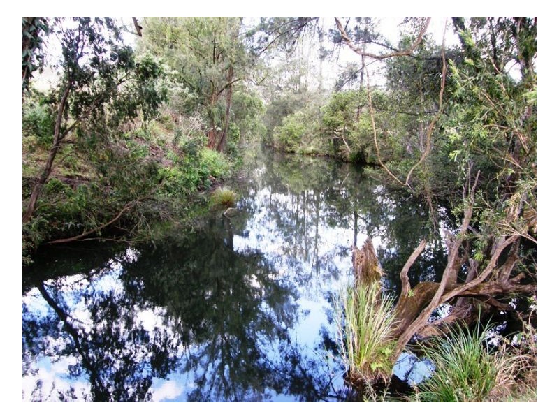 252 Eden Creek Road, Kyogle NSW 2474