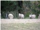 252 Eden Creek Road, Kyogle NSW 2474