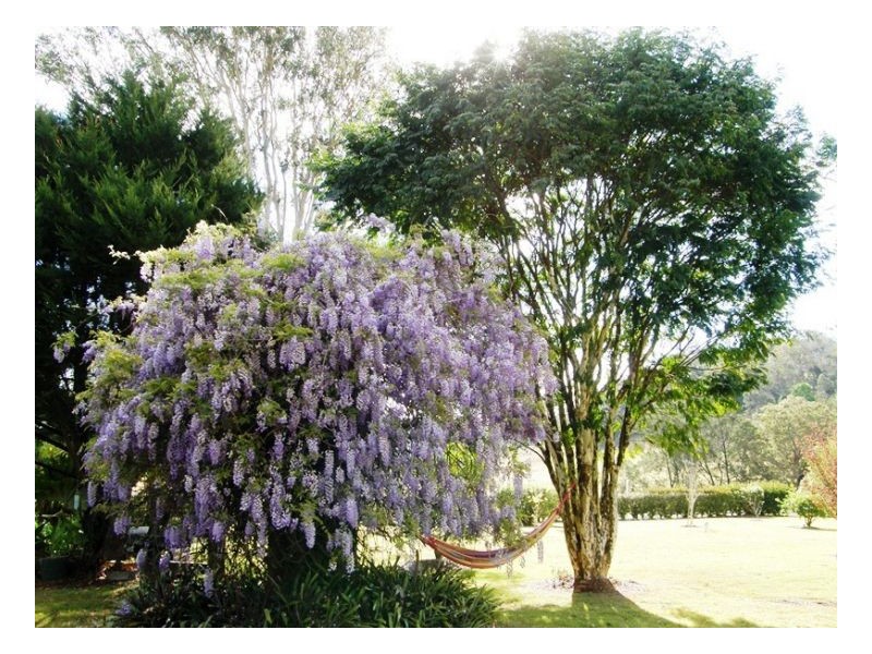 252 Eden Creek Road, Kyogle NSW 2474