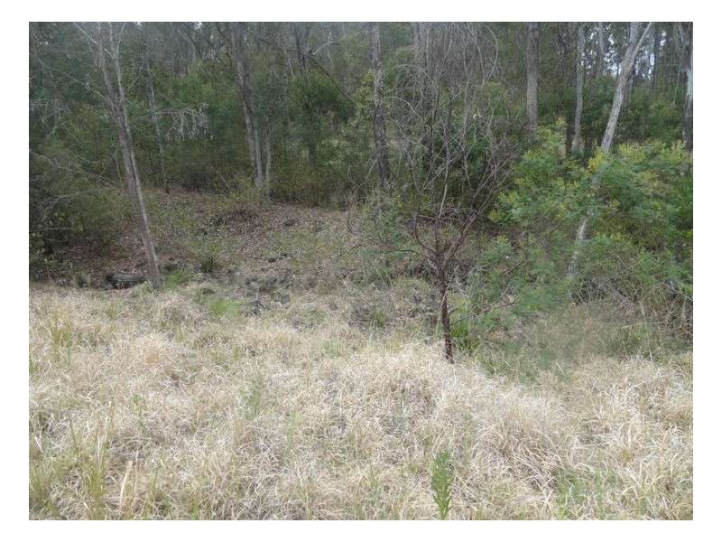 500 Sykes Gap Road, Kyogle NSW 2474