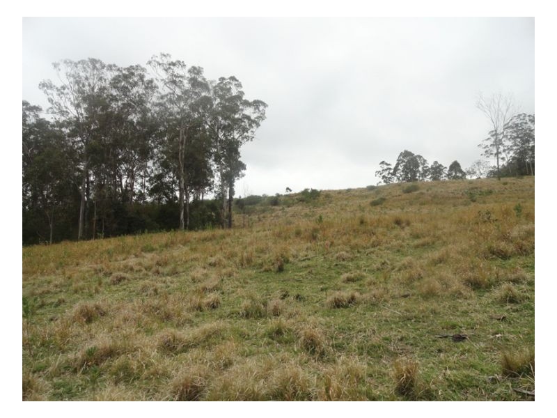 500 Sykes Gap Road, Kyogle NSW 2474