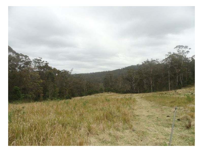 500 Sykes Gap Road, Tenterfield NSW 2372