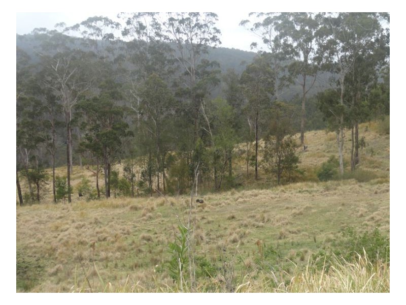 500 Sykes Gap Road, Tenterfield NSW 2372