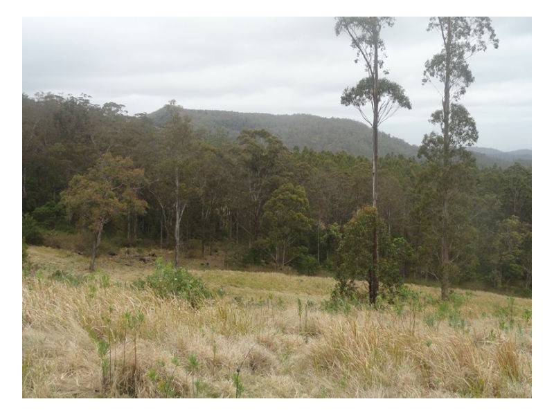 500 Sykes Gap Road, Tenterfield NSW 2372