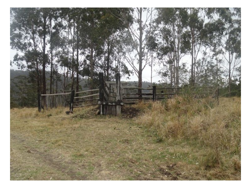 500 Sykes Gap Road, Tenterfield NSW 2372