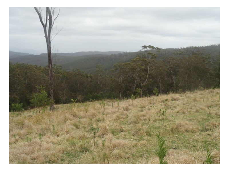 500 Sykes Gap Road, Tenterfield NSW 2372