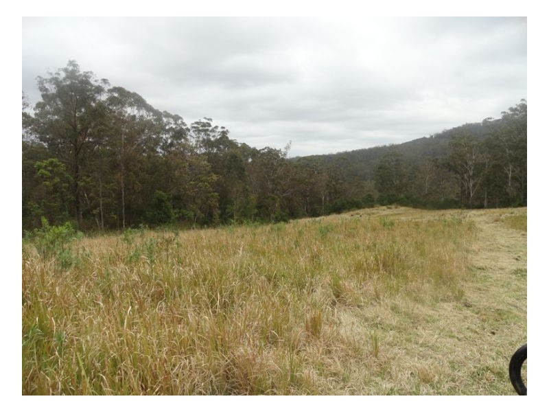 500 Sykes Gap Road, Tenterfield NSW 2372