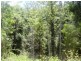450 Sykes Gap Road, Tenterfield NSW 2372