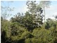 450 Sykes Gap Road, Tenterfield NSW 2372