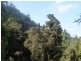 450 Sykes Gap Road, Tenterfield NSW 2372