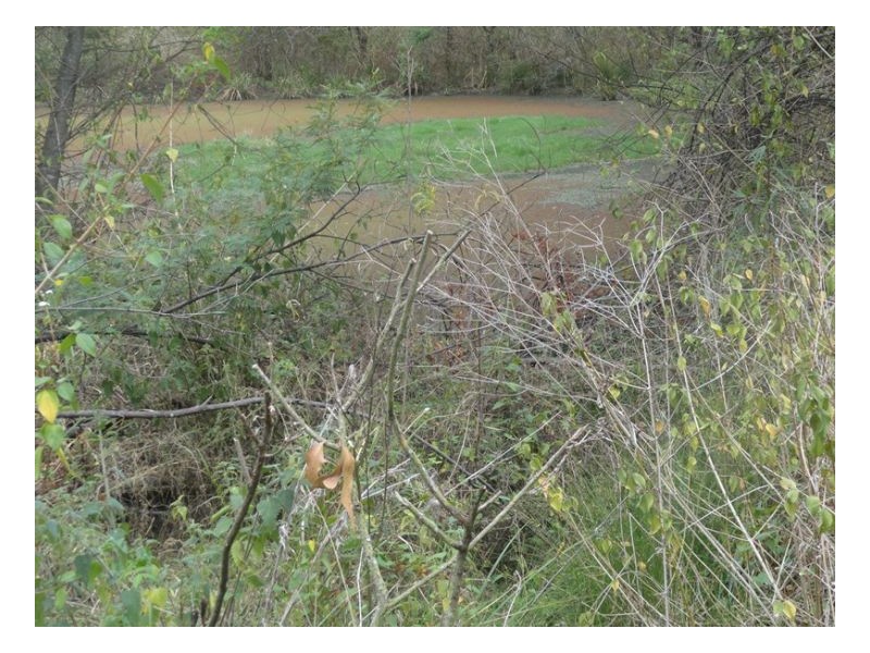 105 Tin Hut Road, Tenterfield NSW 2372