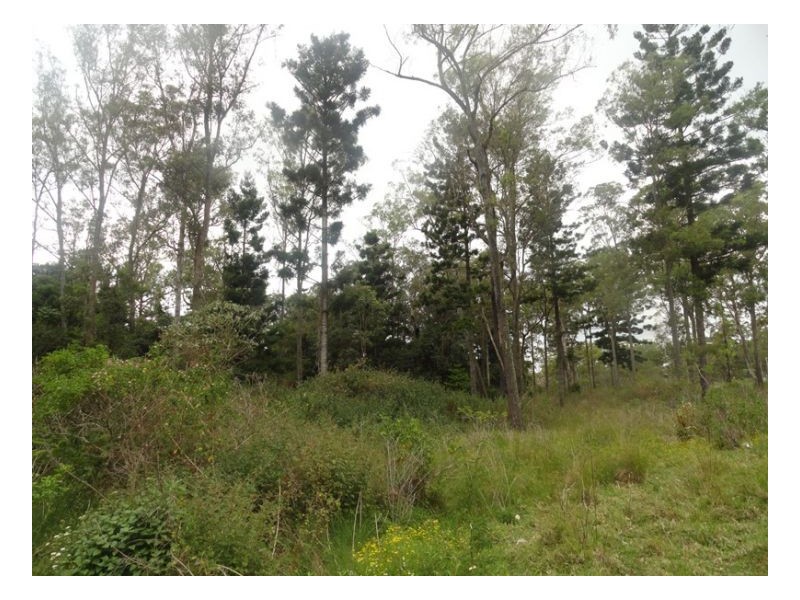 105 Tin Hut Road, Tenterfield NSW 2372