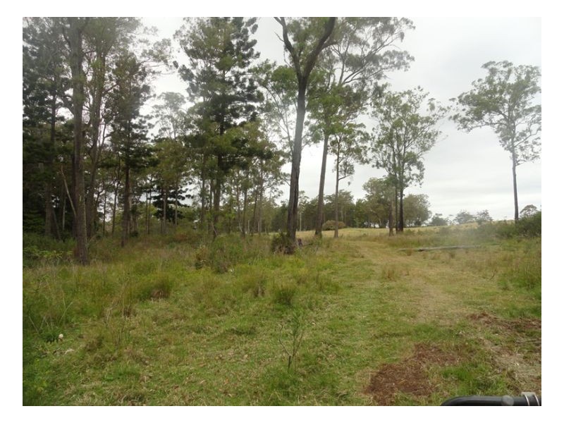 105 Tin Hut Road, Tenterfield NSW 2372