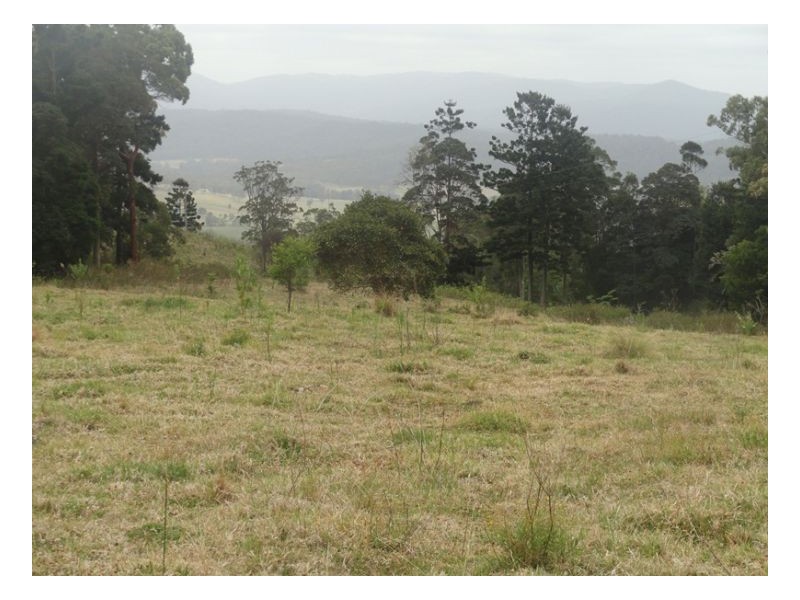 105 Tin Hut Road, Tenterfield NSW 2372