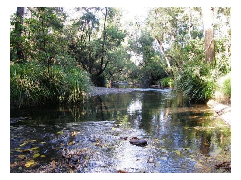 91 Eden Creek Road, Kyogle NSW 2474