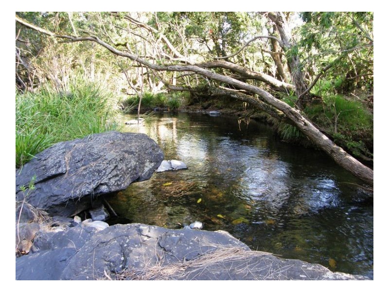 91 Eden Creek Road, Kyogle NSW 2474