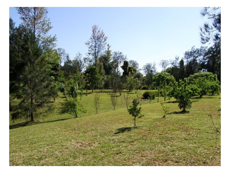 91 Eden Creek Road, Kyogle NSW 2474