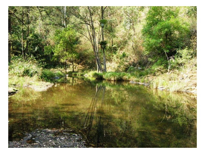 1108 Upper Eden Creek Road, Kyogle NSW 2474