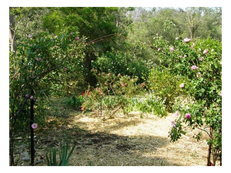 1108 Upper Eden Creek Road, Kyogle NSW 2474