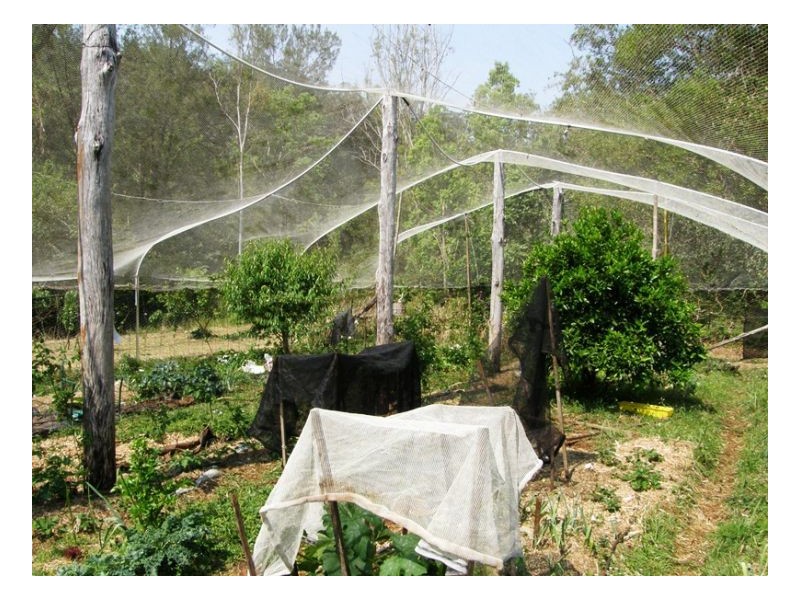 1108 Upper Eden Creek Road, Kyogle NSW 2474