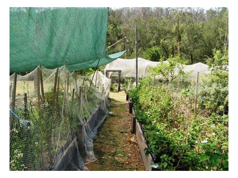 1108 Upper Eden Creek Road, Kyogle NSW 2474