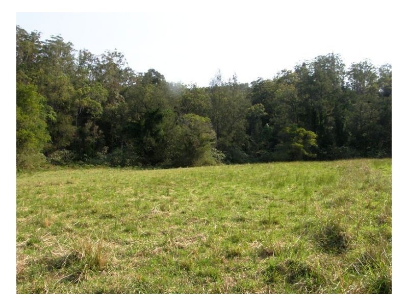 1108 Upper Eden Creek Road, Kyogle NSW 2474