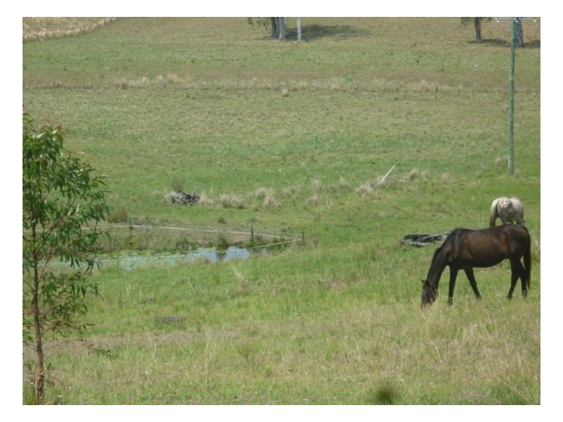 236 Runnymede Road, Kyogle NSW 2474