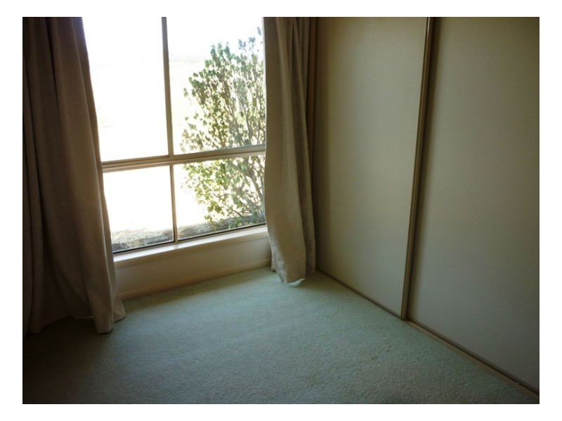 167 Webbs Road, Kyogle NSW 2474