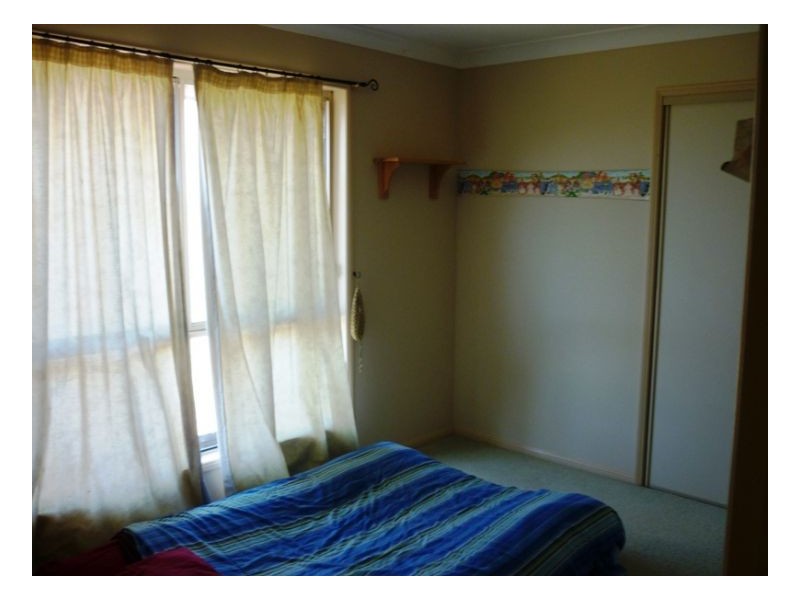 167 Webbs Road, Kyogle NSW 2474