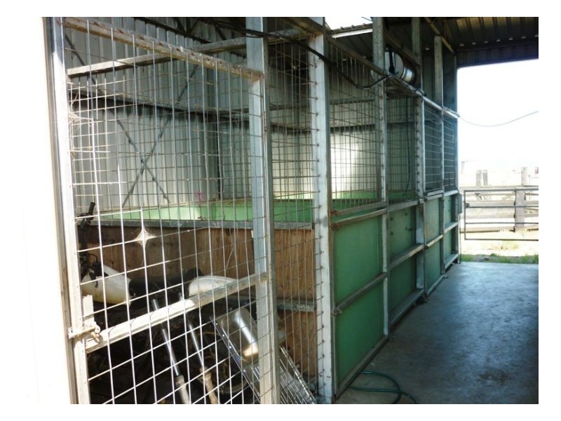 167 Webbs Road, Kyogle NSW 2474