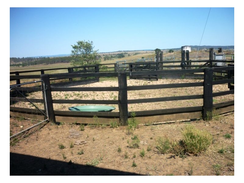 167 Webbs Road, Kyogle NSW 2474